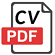 Curriculum vitae Guillaume Sochon